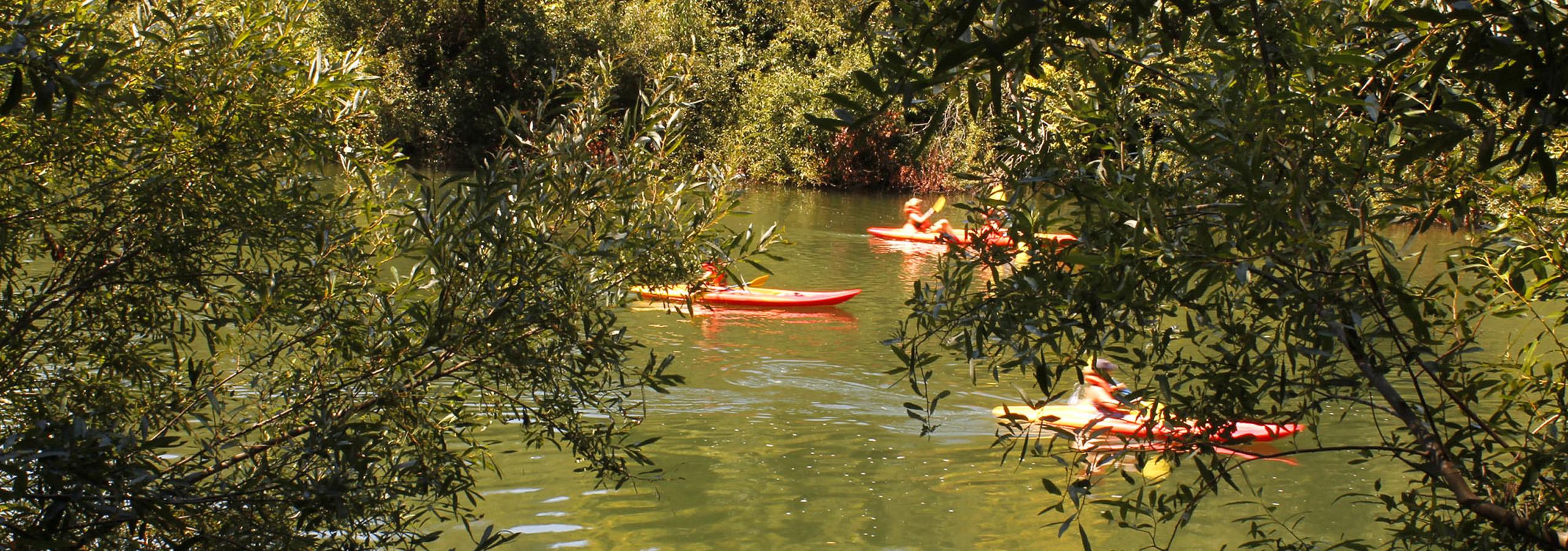 Information Russian River Vacation 118