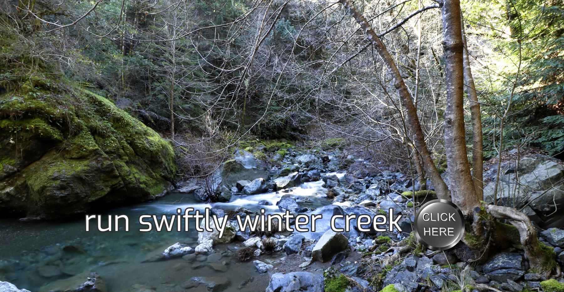 Russian River Vacation Home Rentals Russian River Getaways